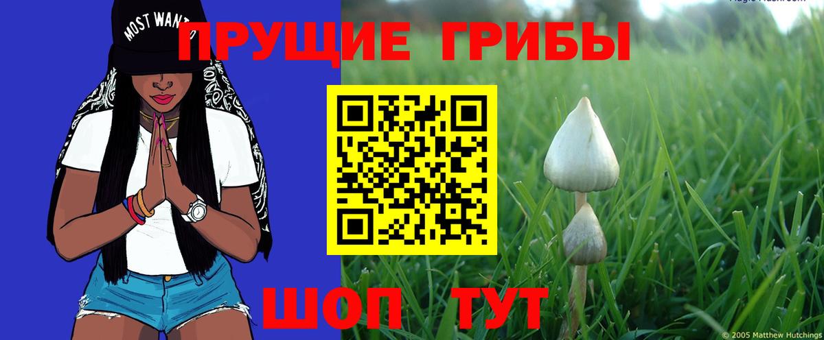 COCAIN  Кимовск  Конопля  Меф   LSD-25  ГАШ  Вход с VPN 